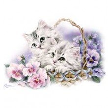 котенца в кошница