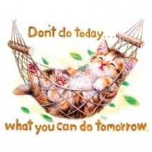 коте мързел