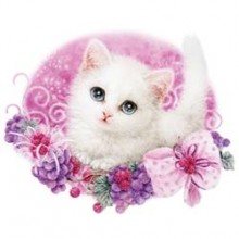 котенце