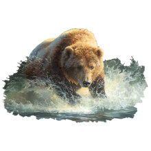 руска мечка