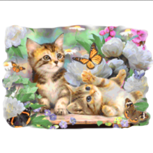 котешка игра